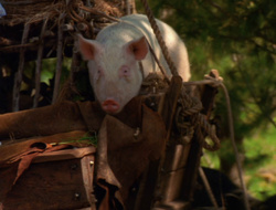 extant_XenaWarriorPrincess_6x10-OldAresHadAFarm_2197