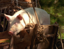 extant_XenaWarriorPrincess_6x10-OldAresHadAFarm_2198