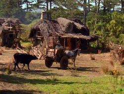 extant_XenaWarriorPrincess_6x10-OldAresHadAFarm_2200