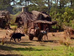 extant_XenaWarriorPrincess_6x10-OldAresHadAFarm_2201