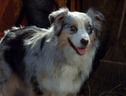 extant_XenaWarriorPrincess_6x10-OldAresHadAFarm_2205