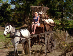 extant_XenaWarriorPrincess_6x10-OldAresHadAFarm_2208