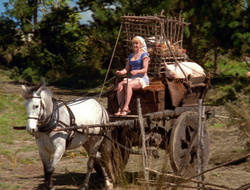 extant_XenaWarriorPrincess_6x10-OldAresHadAFarm_2209