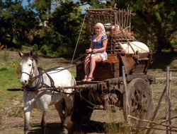extant_XenaWarriorPrincess_6x10-OldAresHadAFarm_2210