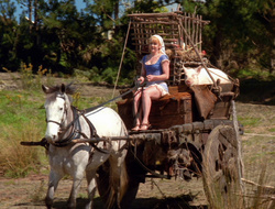 extant_XenaWarriorPrincess_6x10-OldAresHadAFarm_2211
