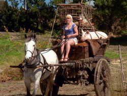 extant_XenaWarriorPrincess_6x10-OldAresHadAFarm_2212