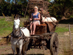 extant_XenaWarriorPrincess_6x10-OldAresHadAFarm_2213