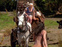 extant_XenaWarriorPrincess_6x10-OldAresHadAFarm_2224