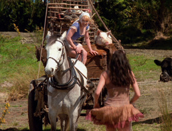 extant_XenaWarriorPrincess_6x10-OldAresHadAFarm_2225