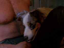 extant_XenaWarriorPrincess_6x10-OldAresHadAFarm_2250