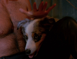 extant_XenaWarriorPrincess_6x10-OldAresHadAFarm_2253