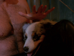 extant_XenaWarriorPrincess_6x10-OldAresHadAFarm_2254
