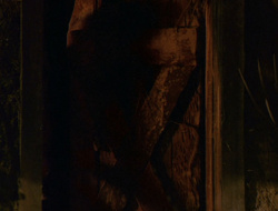 extant_XenaWarriorPrincess_6x10-OldAresHadAFarm_2275