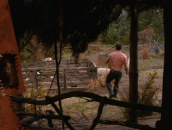 extant_XenaWarriorPrincess_6x10-OldAresHadAFarm_2279