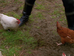 extant_XenaWarriorPrincess_6x10-OldAresHadAFarm_2299