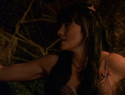 extant_XenaWarriorPrincess_6x10-OldAresHadAFarm_2361