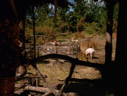 extant_XenaWarriorPrincess_6x10-OldAresHadAFarm_2411