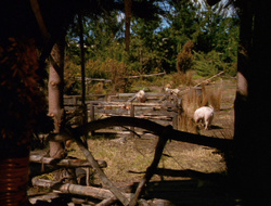 extant_XenaWarriorPrincess_6x10-OldAresHadAFarm_2412