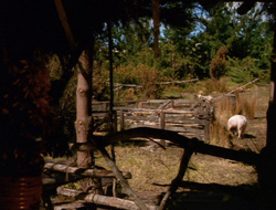 extant_XenaWarriorPrincess_6x10-OldAresHadAFarm_2413