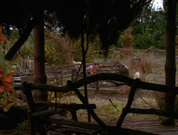 extant_XenaWarriorPrincess_6x10-OldAresHadAFarm_2415