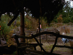 extant_XenaWarriorPrincess_6x10-OldAresHadAFarm_2417