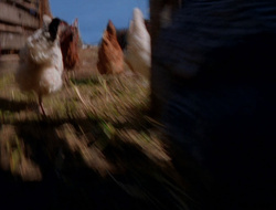 extant_XenaWarriorPrincess_6x10-OldAresHadAFarm_2420