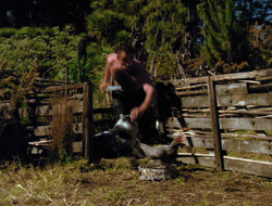 extant_XenaWarriorPrincess_6x10-OldAresHadAFarm_2424