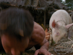 extant_XenaWarriorPrincess_6x10-OldAresHadAFarm_2439
