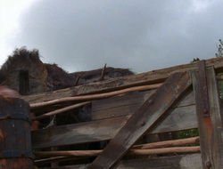 extant_XenaWarriorPrincess_6x10-OldAresHadAFarm_2443