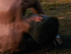 extant_XenaWarriorPrincess_6x10-OldAresHadAFarm_2449