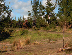 extant_XenaWarriorPrincess_6x10-OldAresHadAFarm_2499
