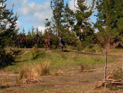 extant_XenaWarriorPrincess_6x10-OldAresHadAFarm_2500