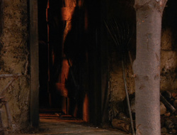 extant_XenaWarriorPrincess_6x10-OldAresHadAFarm_2602