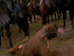 extant_XenaWarriorPrincess_6x10-OldAresHadAFarm_2729