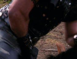 extant_XenaWarriorPrincess_6x10-OldAresHadAFarm_2730