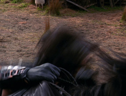 extant_XenaWarriorPrincess_6x10-OldAresHadAFarm_2731