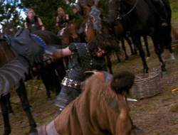 extant_XenaWarriorPrincess_6x10-OldAresHadAFarm_2736