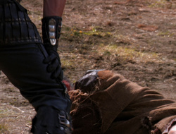extant_XenaWarriorPrincess_6x10-OldAresHadAFarm_2739