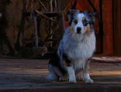 extant_XenaWarriorPrincess_6x10-OldAresHadAFarm_2770