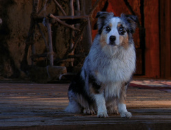extant_XenaWarriorPrincess_6x10-OldAresHadAFarm_2771