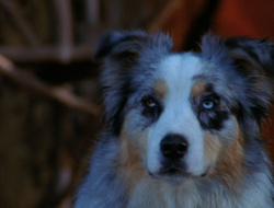 extant_XenaWarriorPrincess_6x10-OldAresHadAFarm_2793