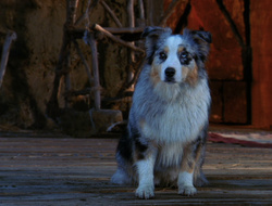 extant_XenaWarriorPrincess_6x10-OldAresHadAFarm_2818