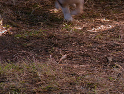 extant_XenaWarriorPrincess_6x10-OldAresHadAFarm_2838