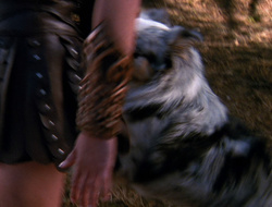 extant_XenaWarriorPrincess_6x10-OldAresHadAFarm_2840