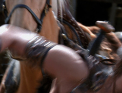 extant_XenaWarriorPrincess_6x10-OldAresHadAFarm_2841
