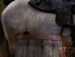 extant_XenaWarriorPrincess_6x10-OldAresHadAFarm_2848