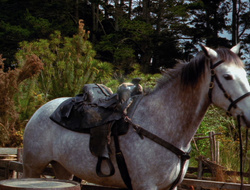 extant_XenaWarriorPrincess_6x10-OldAresHadAFarm_2962