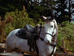 extant_XenaWarriorPrincess_6x10-OldAresHadAFarm_2963