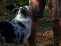 extant_XenaWarriorPrincess_6x10-OldAresHadAFarm_2975