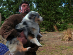 extant_XenaWarriorPrincess_6x10-OldAresHadAFarm_2982